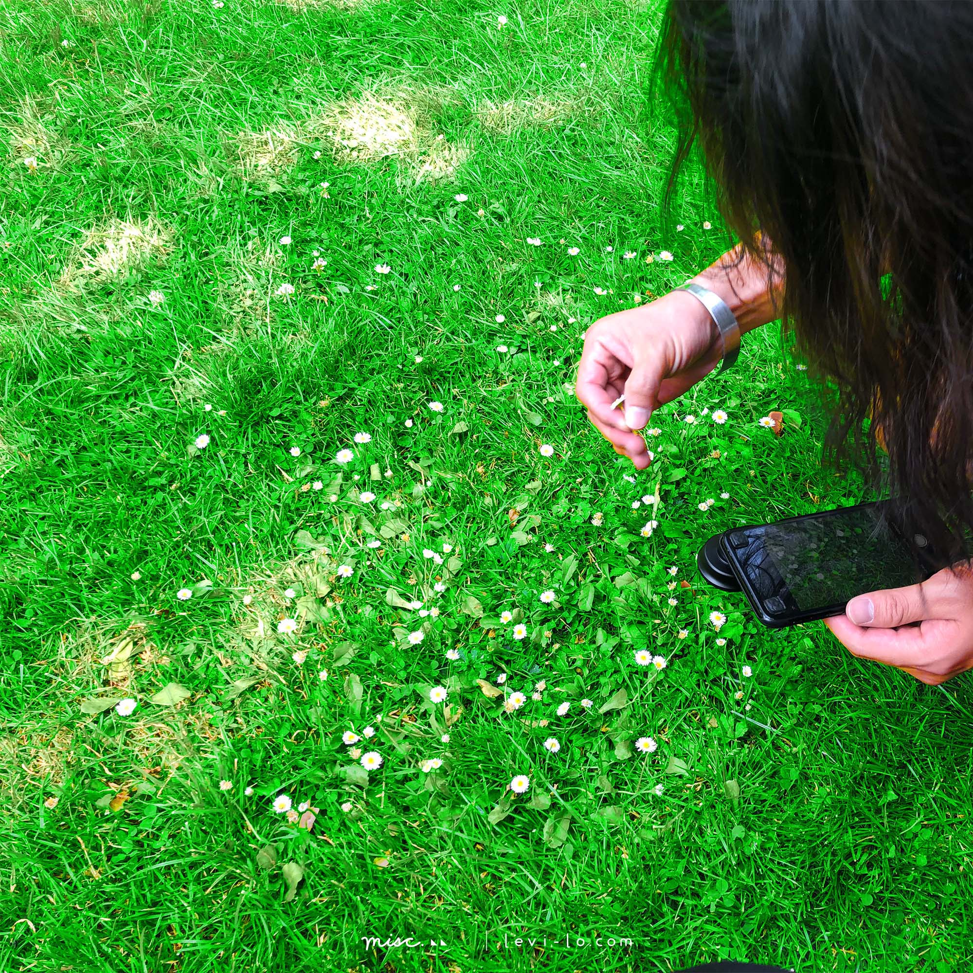 Levi is checking the flowers