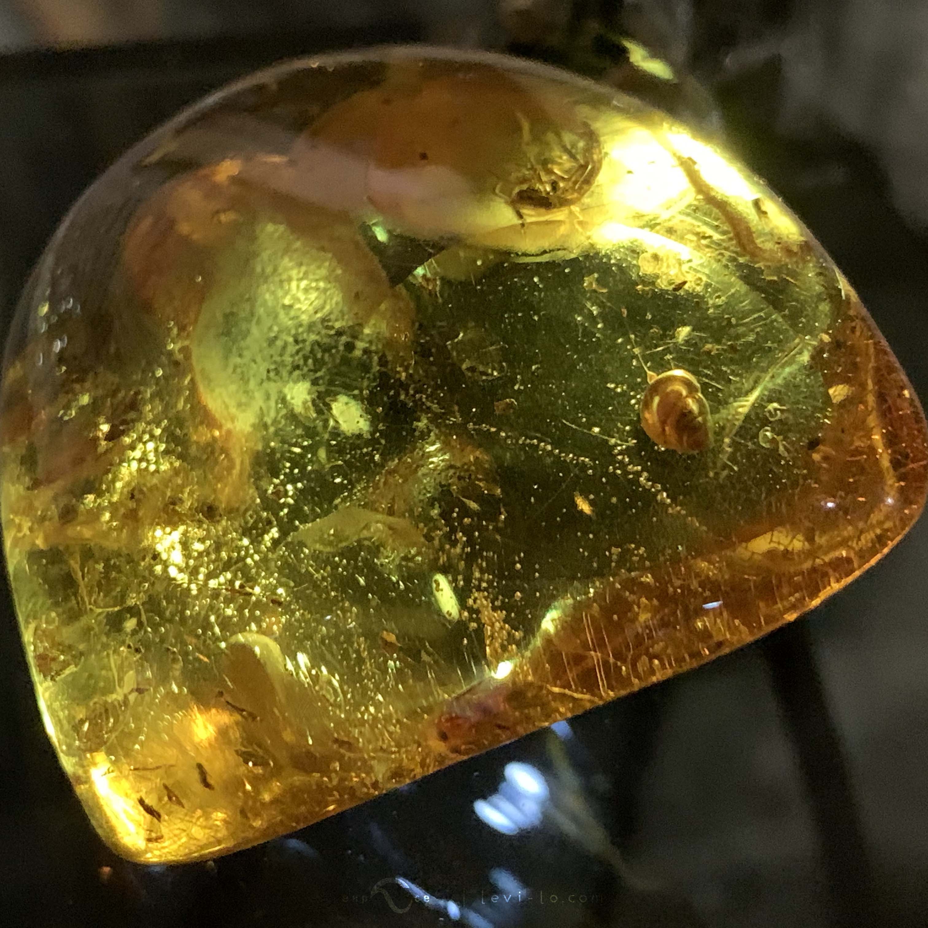 A transparent yellow amber