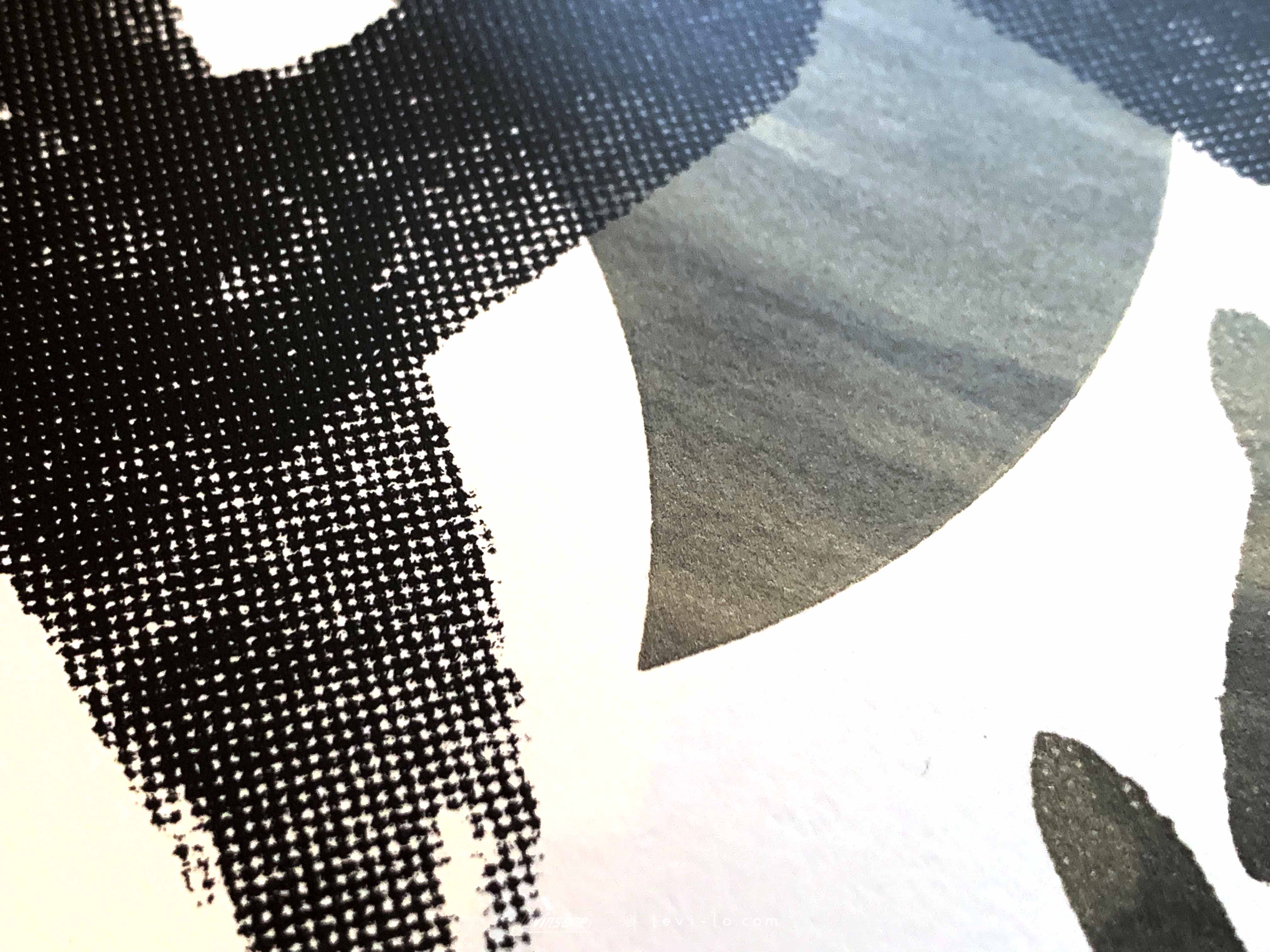 Details of art print - Bright, designed and screen printed by Levi Lo