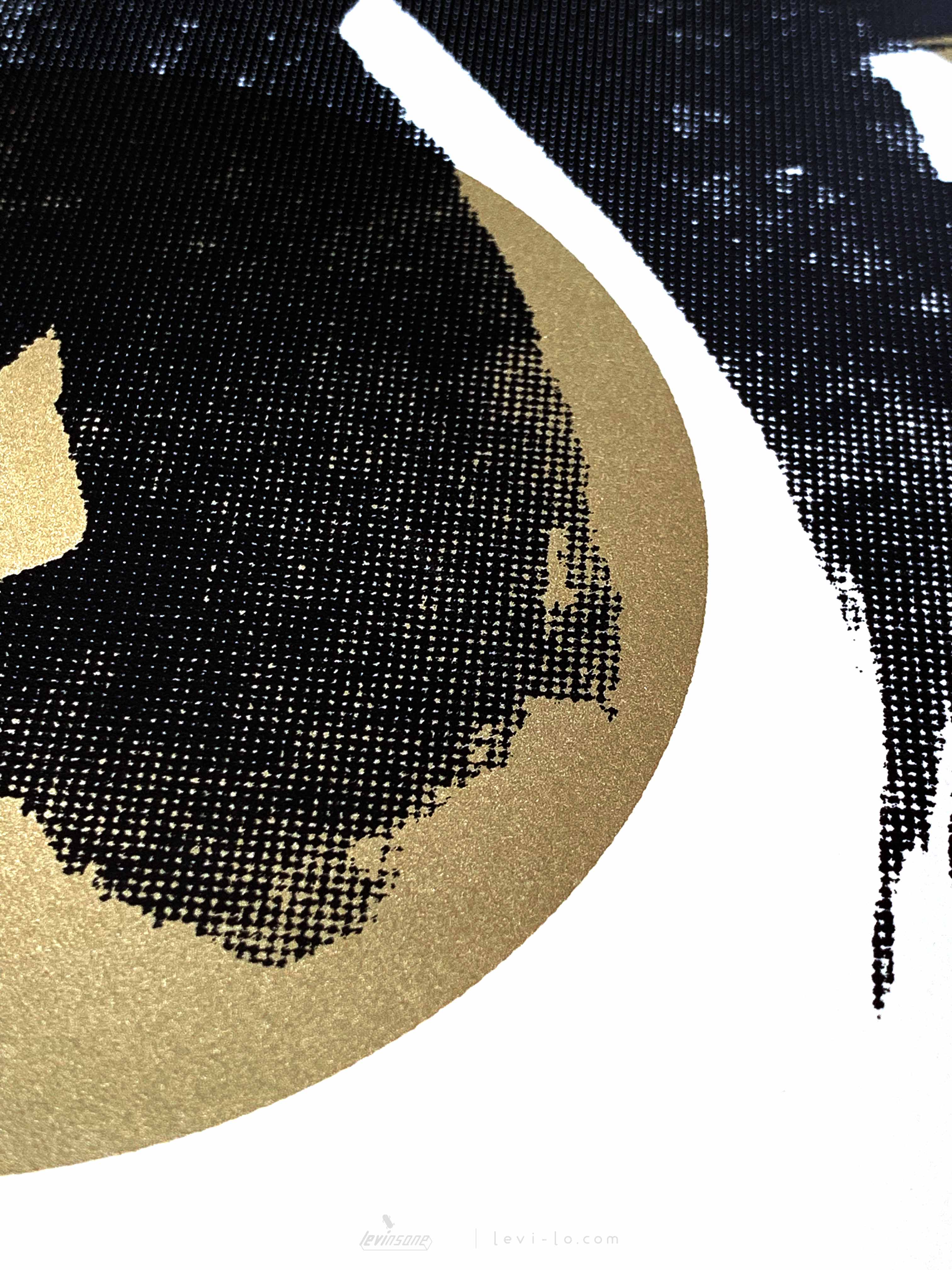 Details of art print - Bright, designed and screen printed by Levi Lo