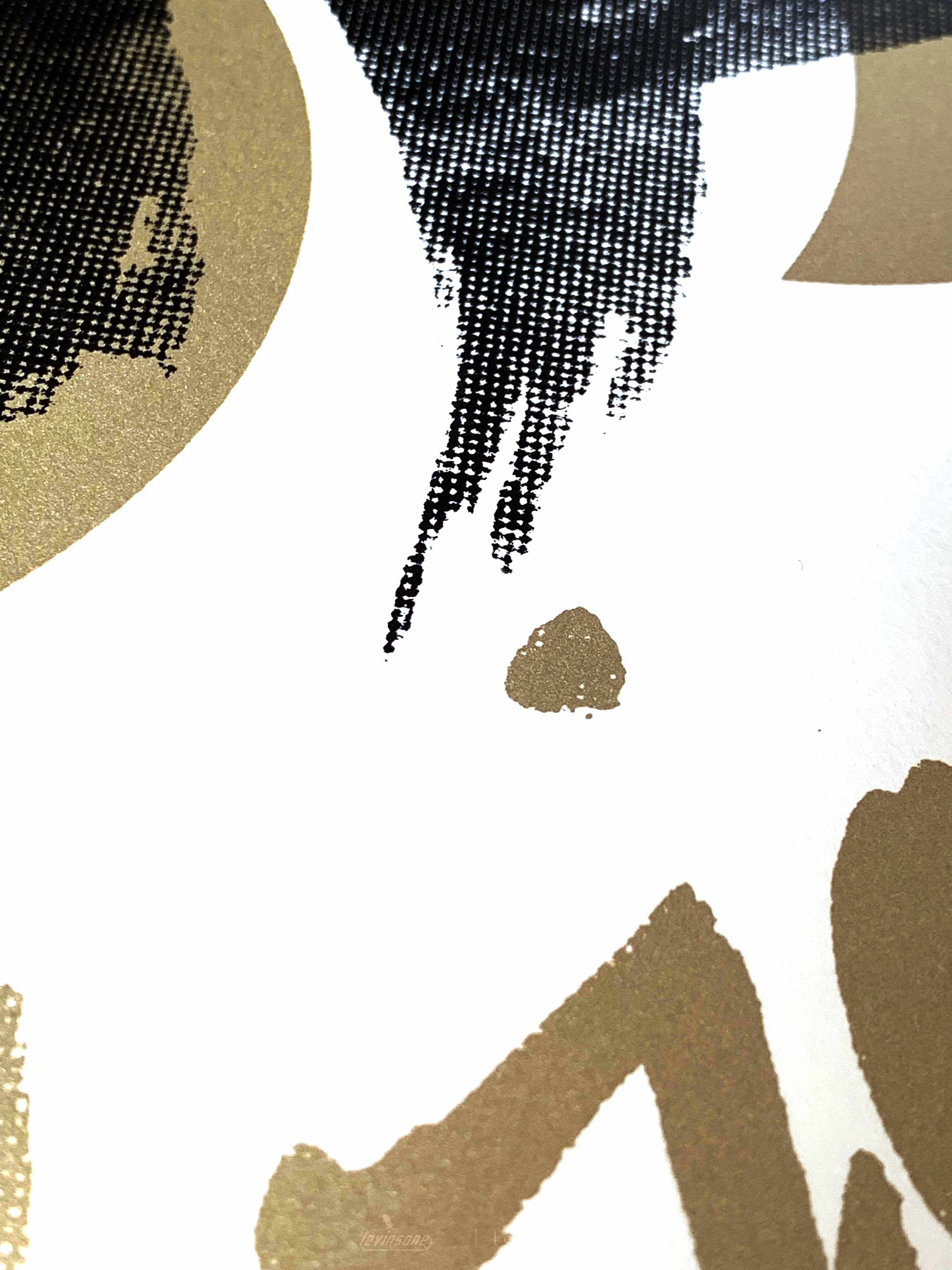 Details of art print - Bright, designed and screen printed by Levi Lo