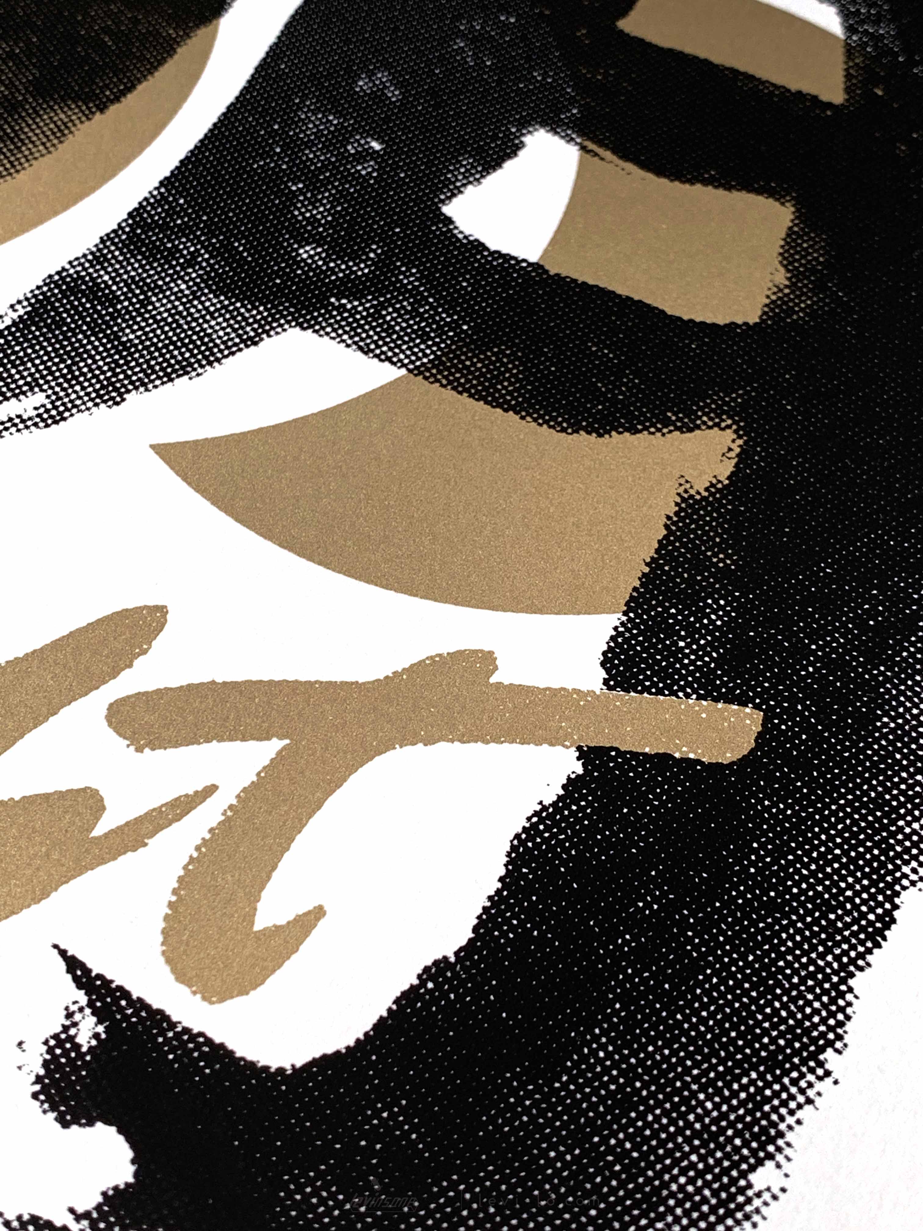 Details of art print - Bright, designed and screen printed by Levi Lo